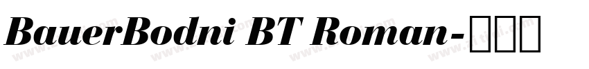 BauerBodni BT Roman字体转换